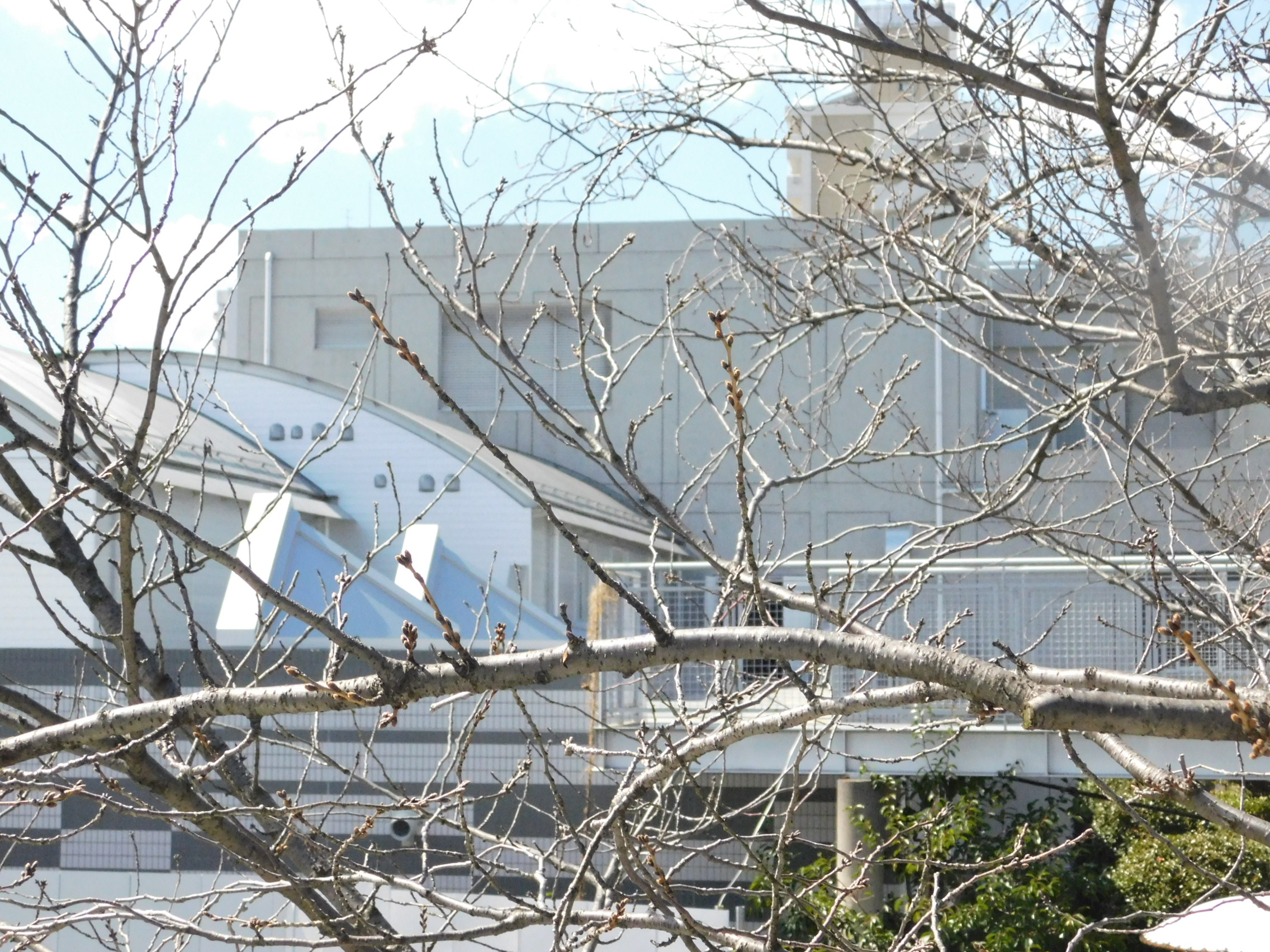 令和2年3月16日(月)