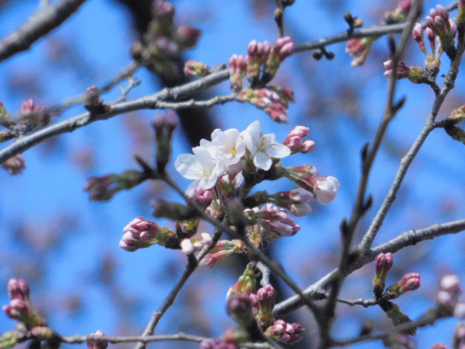 令和4年3月29日(火)