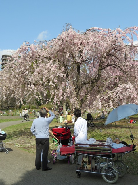 平成25年4月4日(木)